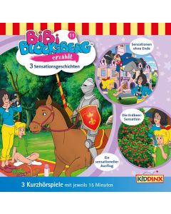 Bibi Blocksberg: erzählt Sensationsgeschichten (Folge 11/mp3)