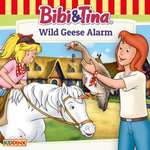 Bibi & Tina: Wild Geese Alarm