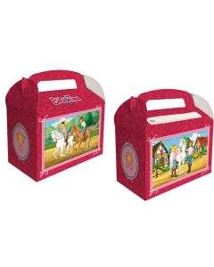 Bibi & Tina: 6 Geschenkeboxen (Party-Dekoration)